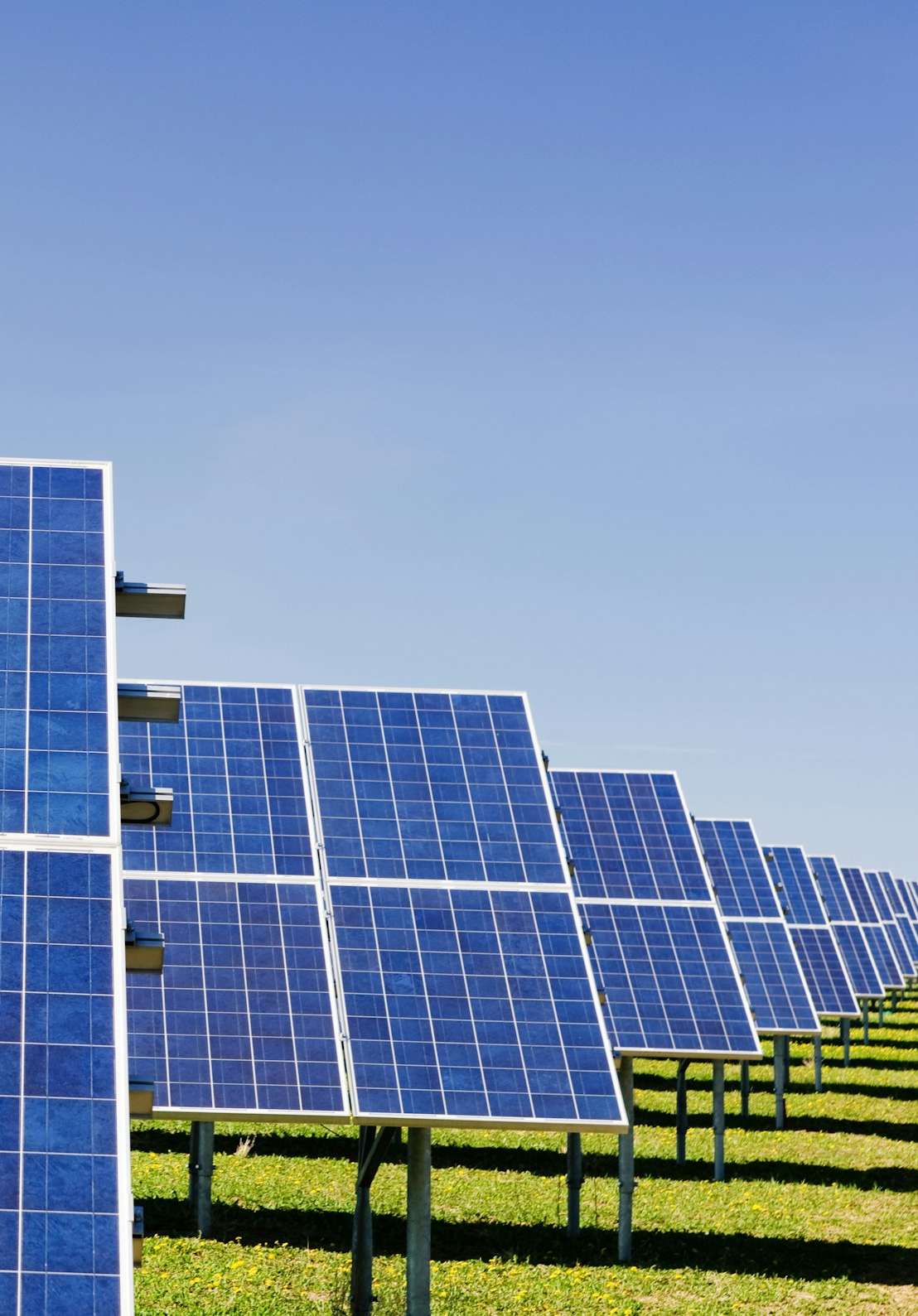 Solarzellen auf Wiese
